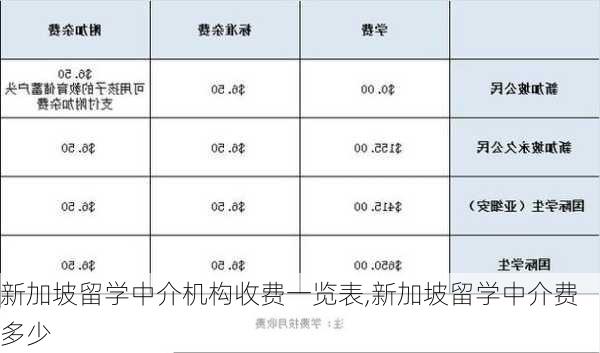 新加坡留学中介机构收费一览表,新加坡留学中介费多少