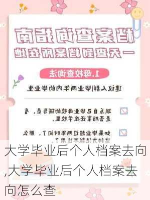 大学毕业后个人档案去向,大学毕业后个人档案去向怎么查