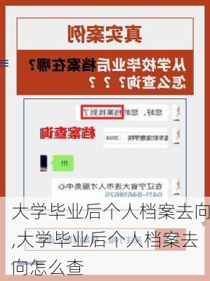 大学毕业后个人档案去向,大学毕业后个人档案去向怎么查