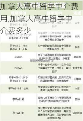 加拿大高中留学中介费用,加拿大高中留学中介费多少