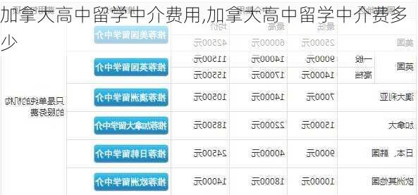 加拿大高中留学中介费用,加拿大高中留学中介费多少