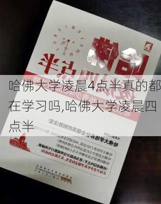 哈佛大学凌晨4点半真的都在学习吗,哈佛大学凌晨四点半