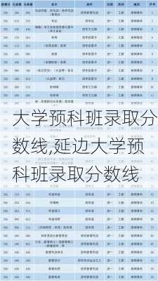 大学预科班录取分数线,延边大学预科班录取分数线