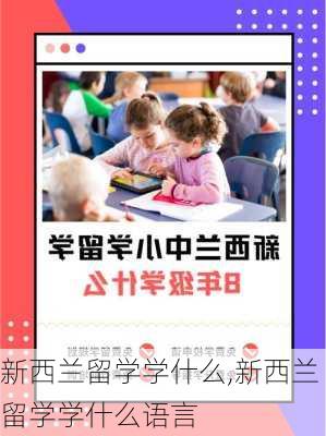 新西兰留学学什么,新西兰留学学什么语言