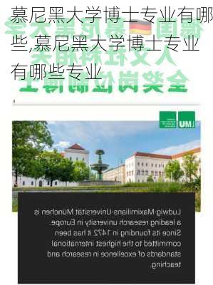 慕尼黑大学博士专业有哪些,慕尼黑大学博士专业有哪些专业