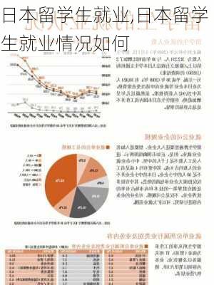 日本留学生就业,日本留学生就业情况如何