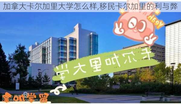 加拿大卡尔加里大学怎么样,移民卡尔加里的利与弊