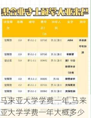 马来亚大学学费一年,马来亚大学学费一年大概多少