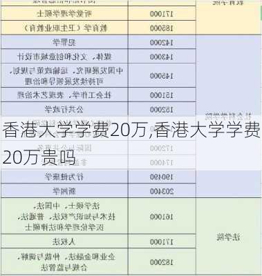 香港大学学费20万,香港大学学费20万贵吗