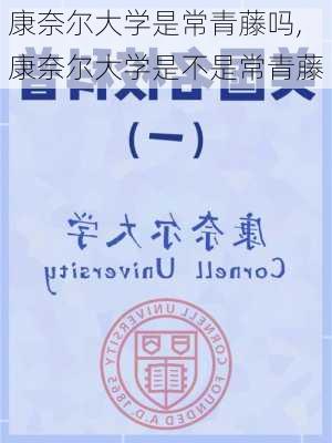 康奈尔大学是常青藤吗,康奈尔大学是不是常青藤