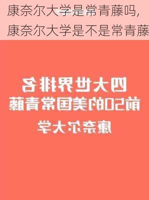 康奈尔大学是常青藤吗,康奈尔大学是不是常青藤