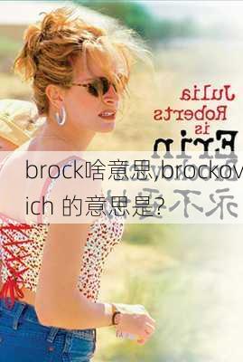 brock啥意思,brockovich 的意思是?