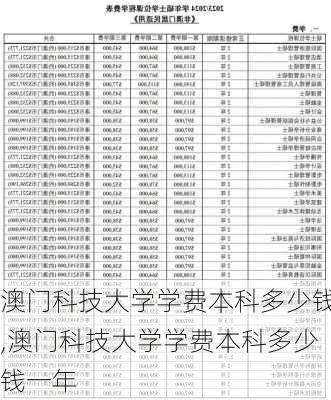 澳门科技大学学费本科多少钱,澳门科技大学学费本科多少钱一年