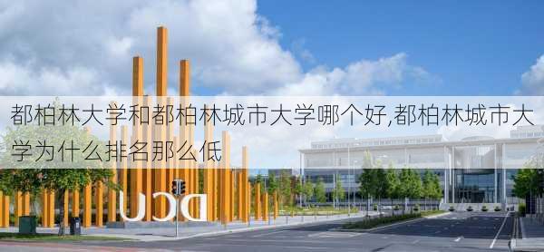 都柏林大学和都柏林城市大学哪个好,都柏林城市大学为什么排名那么低