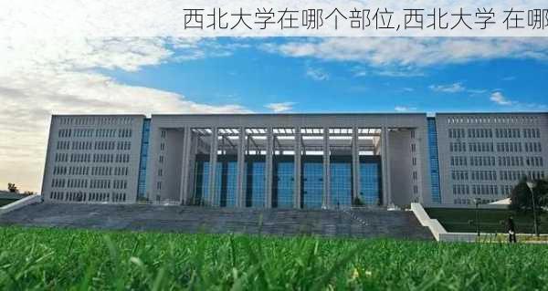 西北大学在哪个部位,西北大学 在哪