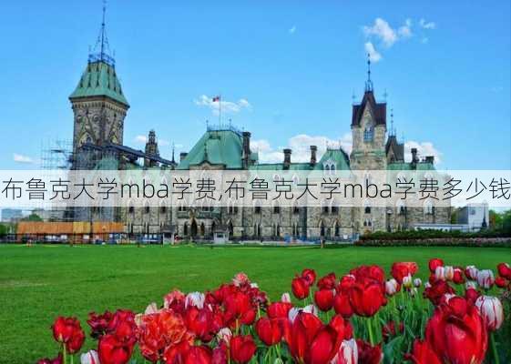 布鲁克大学mba学费,布鲁克大学mba学费多少钱