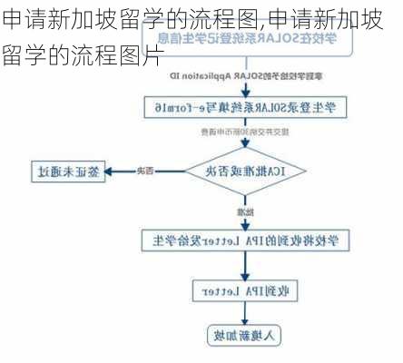 申请新加坡留学的流程图,申请新加坡留学的流程图片