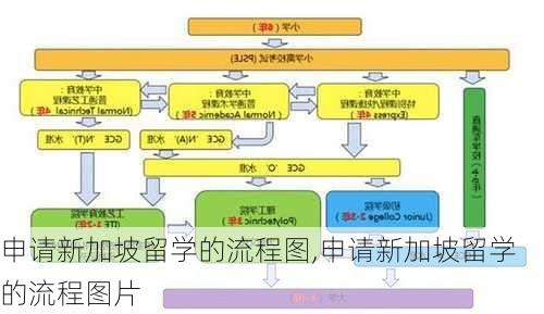 申请新加坡留学的流程图,申请新加坡留学的流程图片