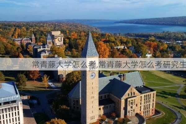 常青藤大学怎么考,常青藤大学怎么考研究生