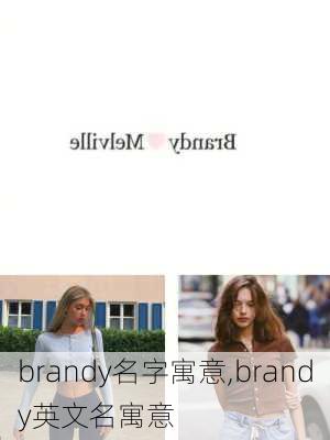 brandy名字寓意,brandy英文名寓意