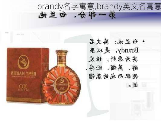 brandy名字寓意,brandy英文名寓意