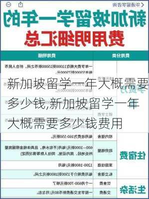 新加坡留学一年大概需要多少钱,新加坡留学一年大概需要多少钱费用