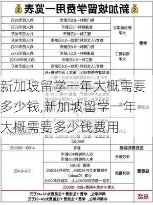 新加坡留学一年大概需要多少钱,新加坡留学一年大概需要多少钱费用