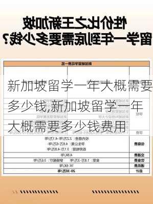 新加坡留学一年大概需要多少钱,新加坡留学一年大概需要多少钱费用