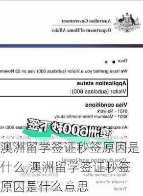 澳洲留学签证秒签原因是什么,澳洲留学签证秒签原因是什么意思