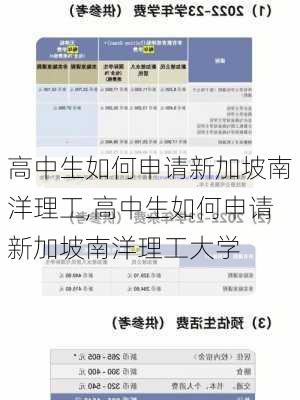 高中生如何申请新加坡南洋理工,高中生如何申请新加坡南洋理工大学