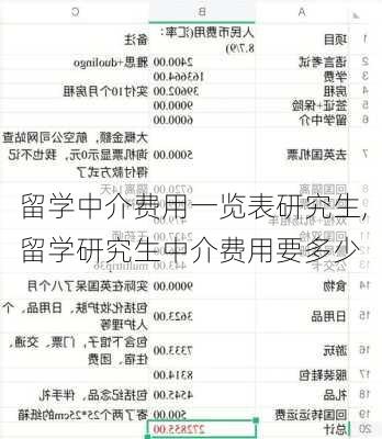 留学中介费用一览表研究生,留学研究生中介费用要多少