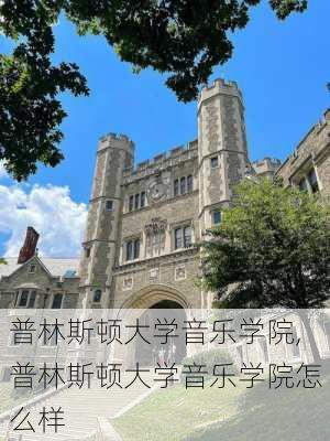 普林斯顿大学音乐学院,普林斯顿大学音乐学院怎么样