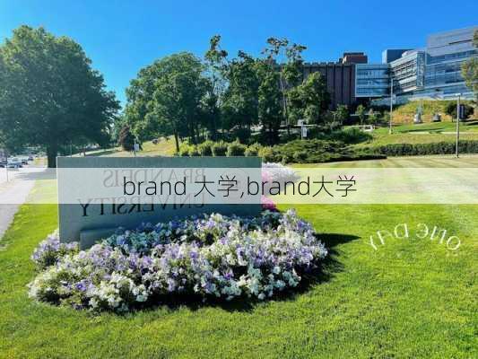 brand 大学,brand大学