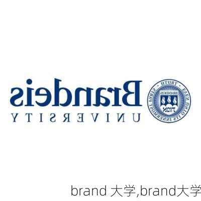 brand 大学,brand大学