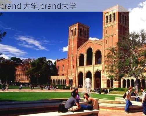 brand 大学,brand大学