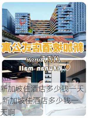 新加坡住酒店多少钱一天,新加坡住酒店多少钱一天啊