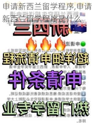 申请新西兰留学程序,申请新西兰留学程序是什么