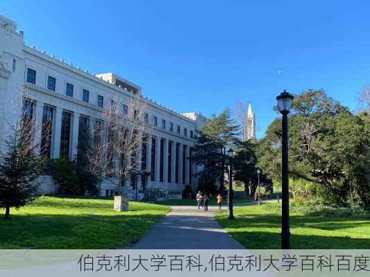 伯克利大学百科,伯克利大学百科百度