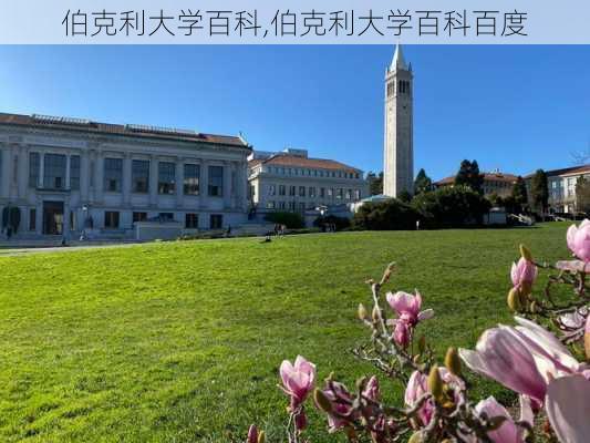 伯克利大学百科,伯克利大学百科百度