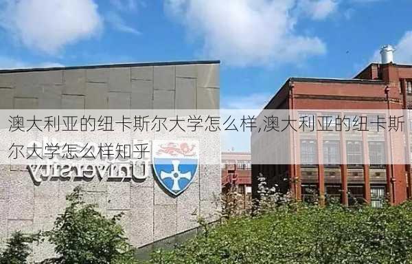 澳大利亚的纽卡斯尔大学怎么样,澳大利亚的纽卡斯尔大学怎么样知乎