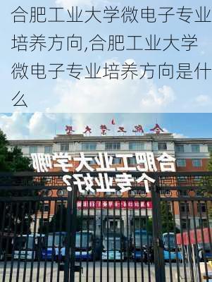 合肥工业大学微电子专业培养方向,合肥工业大学微电子专业培养方向是什么