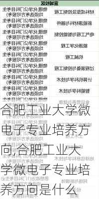 合肥工业大学微电子专业培养方向,合肥工业大学微电子专业培养方向是什么