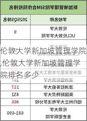 伦敦大学新加坡管理学院,伦敦大学新加坡管理学院排名多少