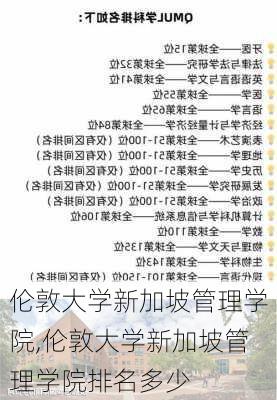 伦敦大学新加坡管理学院,伦敦大学新加坡管理学院排名多少