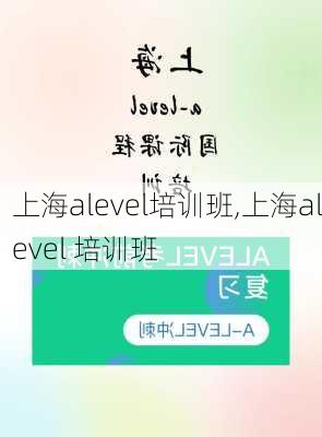 上海alevel培训班,上海alevel 培训班