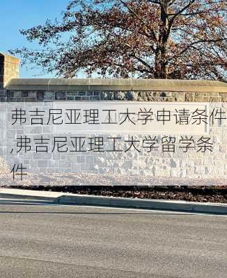 弗吉尼亚理工大学申请条件,弗吉尼亚理工大学留学条件