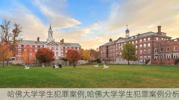 哈佛大学学生犯罪案例,哈佛大学学生犯罪案例分析