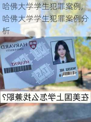 哈佛大学学生犯罪案例,哈佛大学学生犯罪案例分析