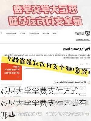 悉尼大学学费支付方式,悉尼大学学费支付方式有哪些