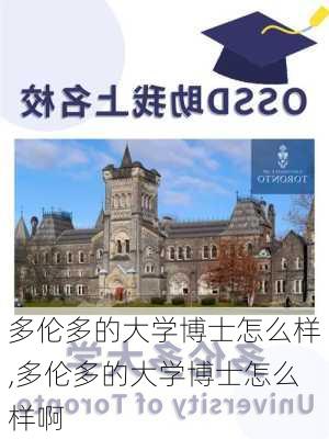 多伦多的大学博士怎么样,多伦多的大学博士怎么样啊